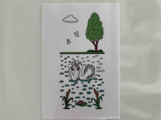 Λευκά φύλλα πολυστυρενίου προσαρμοσμένα για το Μεξικό με χρωματική εκτύπωση Decorada Lámina De Poliestireno που χρησιμοποιούνται σε συσκευασίες και μόνωση