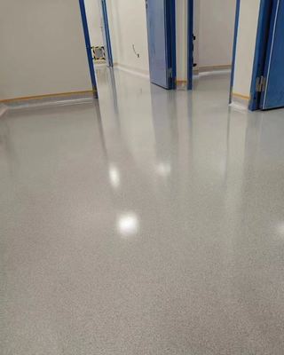 Δάπεδο βιομηχανίας εποξειδικής ρητίνης χαμηλού κόστους, Δάπεδο χρωματιστής άμμου εποξειδικής ρητίνης υψηλής γυαλάδας, Φθηνό αυτοεπιπεδούμενο χρώμα δαπέδου για κήπο και νοσοκομείο